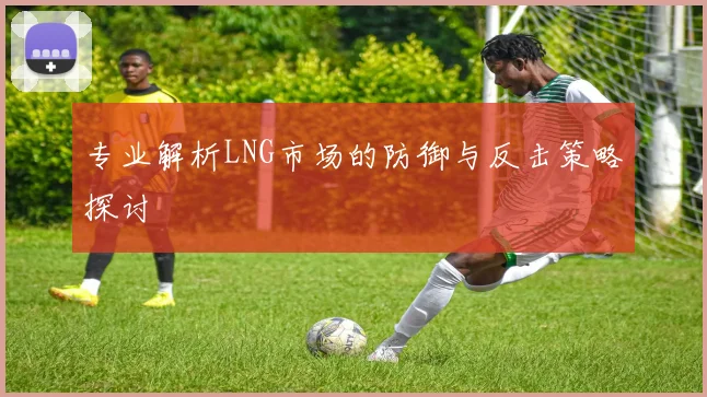 专业解析LNG市场的防御与反击策略探讨